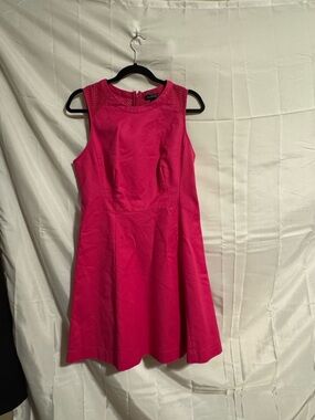 Limited Pink Dress